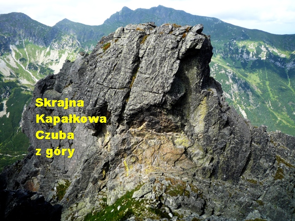 Skrajuna Kapałkowa Czuba